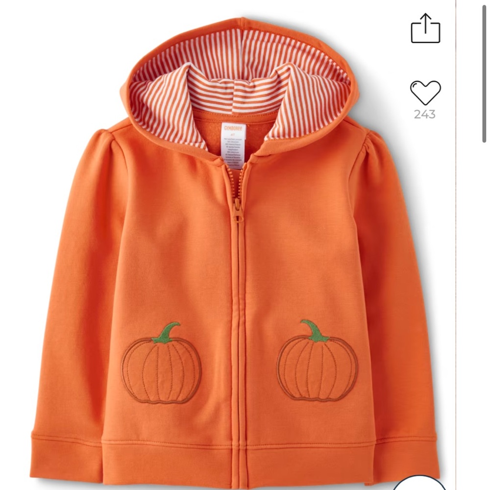 Gymboree aplique orange pumpkin sweatshirt 3T